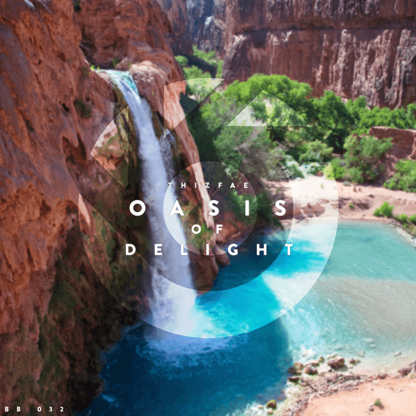 Oasis of Delight Cover Image