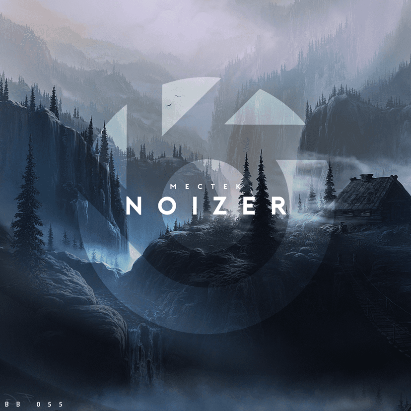 Noizer Cover Image