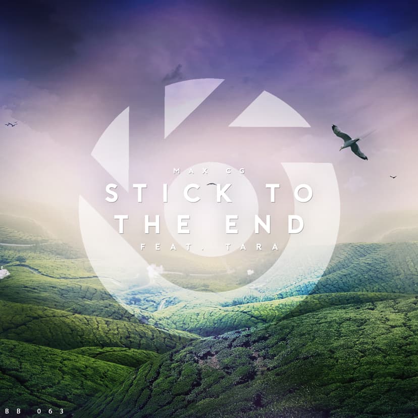 Stick To The End Cover Image