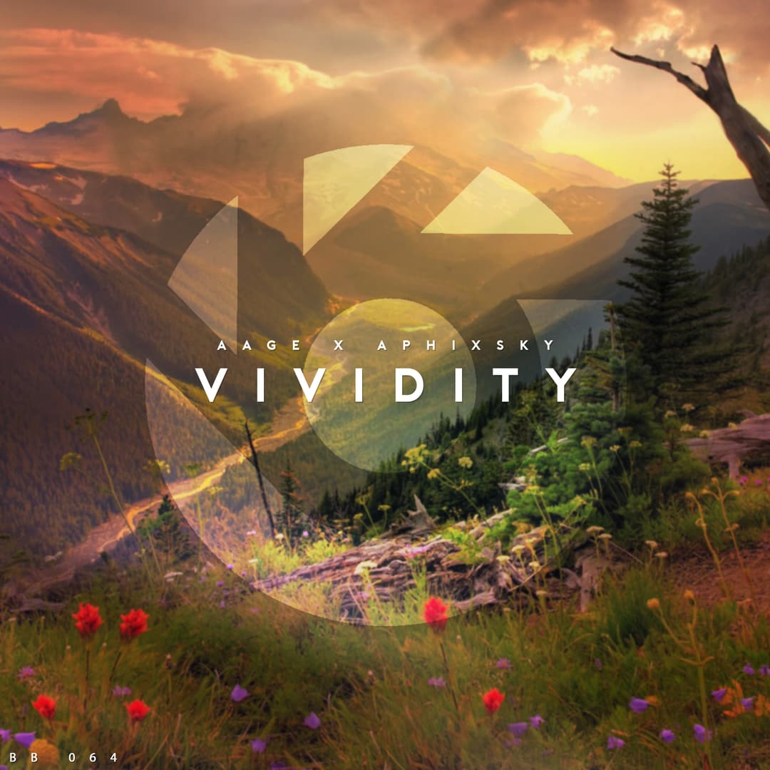 Vividity thumbnail image