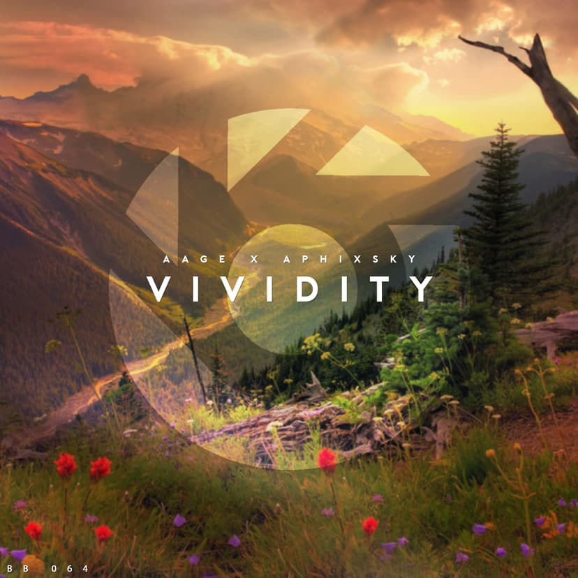 Vividity Cover Image