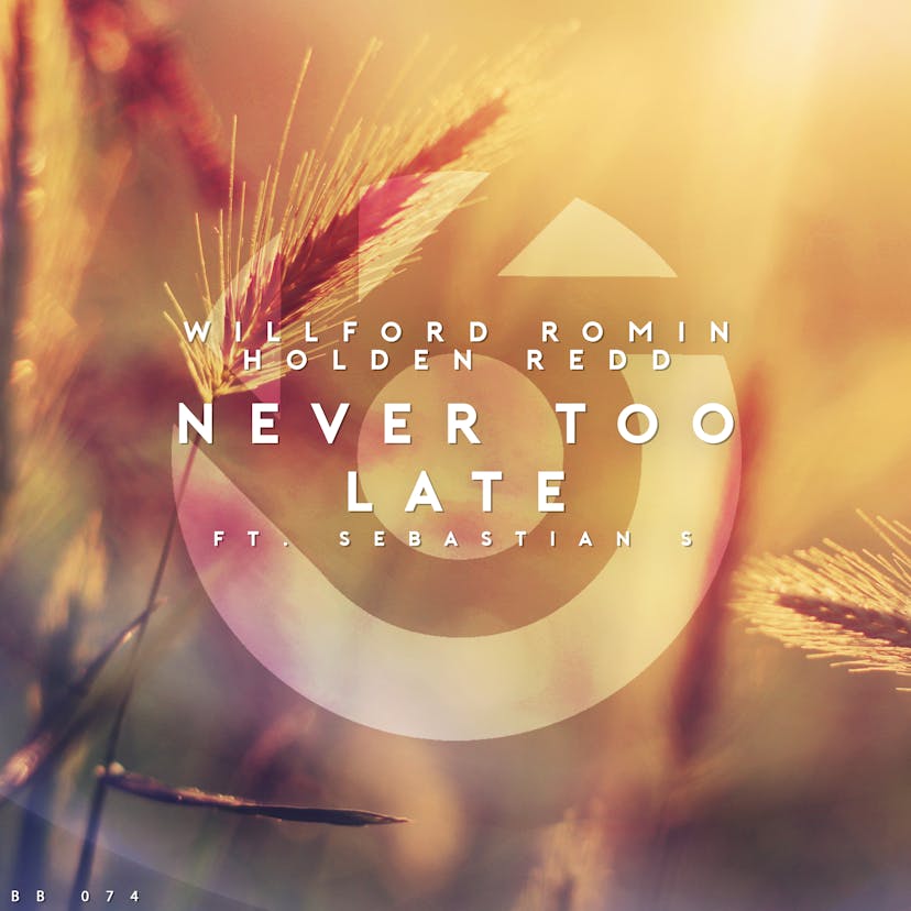 Never Too Late Cover Image